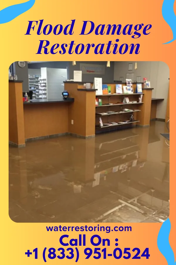 Flood Damage Restoration in Paragon, IN